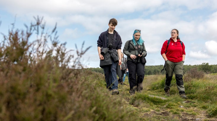 Find out more about volunteering at Lyveden, Northampton